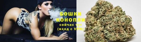 a pvp Новозыбков