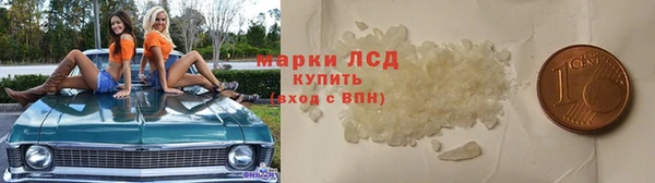 a pvp Новозыбков