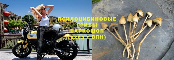 a pvp Новозыбков